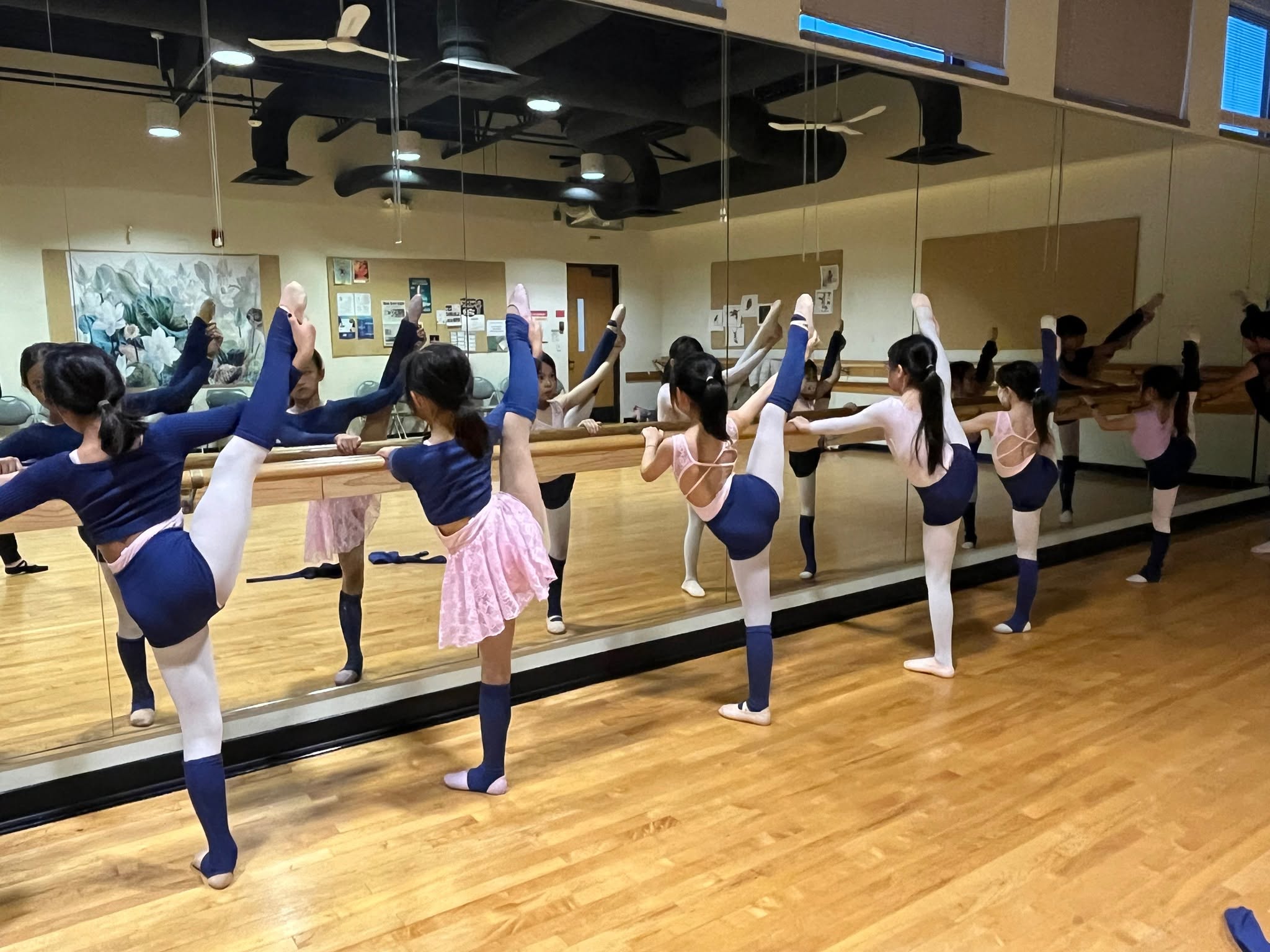 Training & Rehearsal photo 2