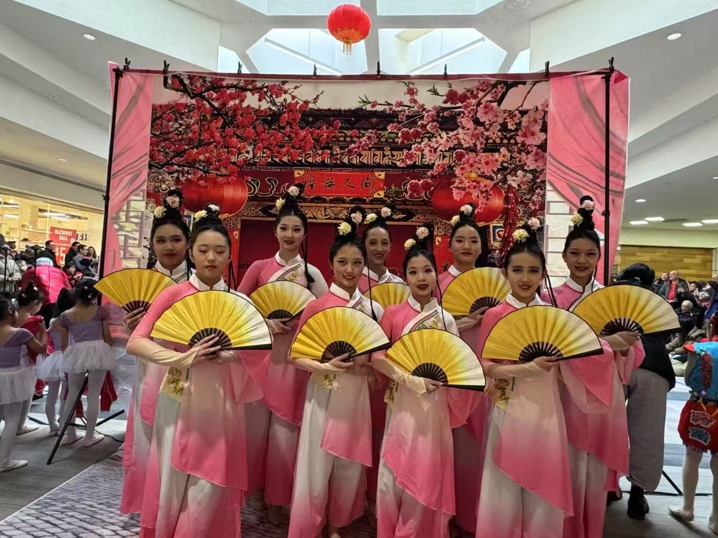 Community Mall Performance photo 5
